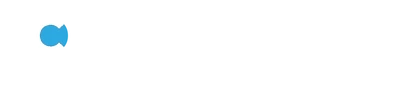Info Consultants Pvt Ltd